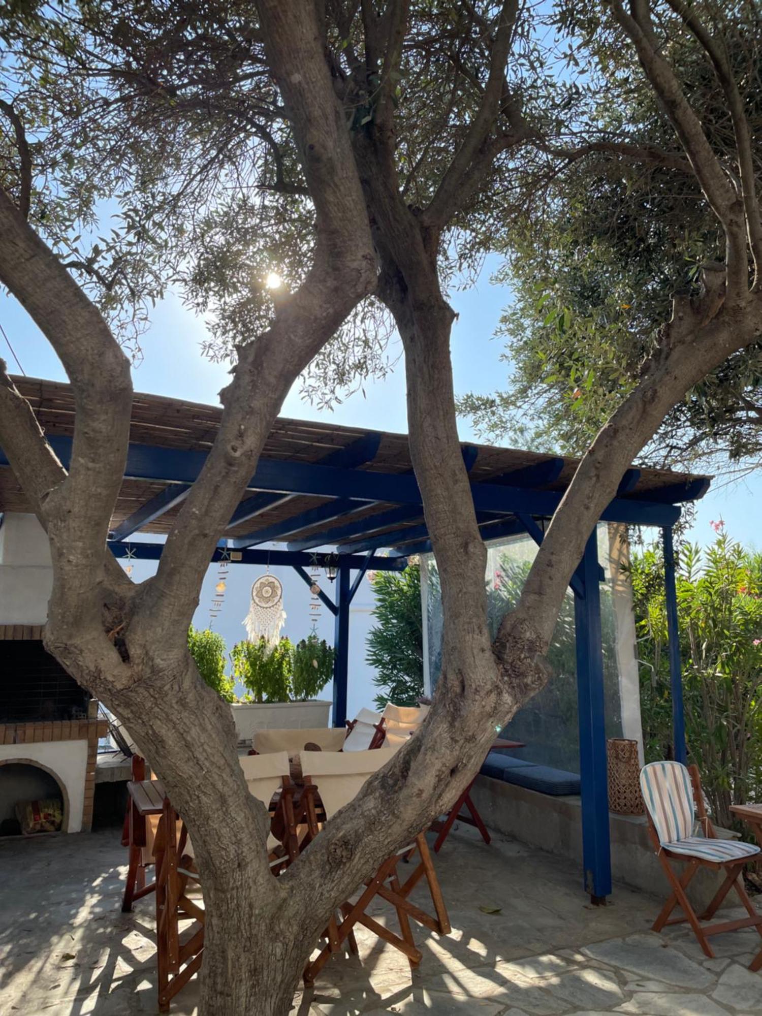 Alikí Villa Gelly'S Studios מראה חיצוני תמונה